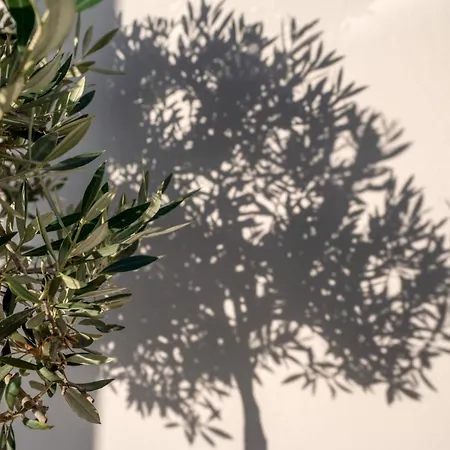 Canyon 1 Elegant With Private Pool *